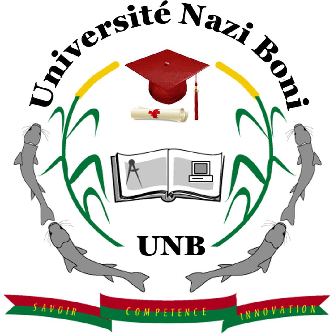 Nazi Boni University Ranking 2026