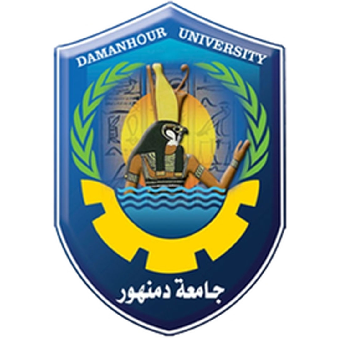 Damanhour University Ranking 2026