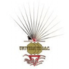 GOC University Ranking 2026