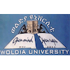 Woldia University Ranking 2026